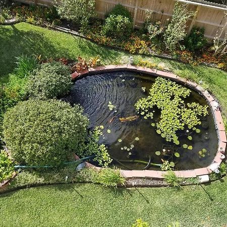 The Seahorse Apt - Lakeside And Close To The Beach Appartement Galveston Buitenkant foto