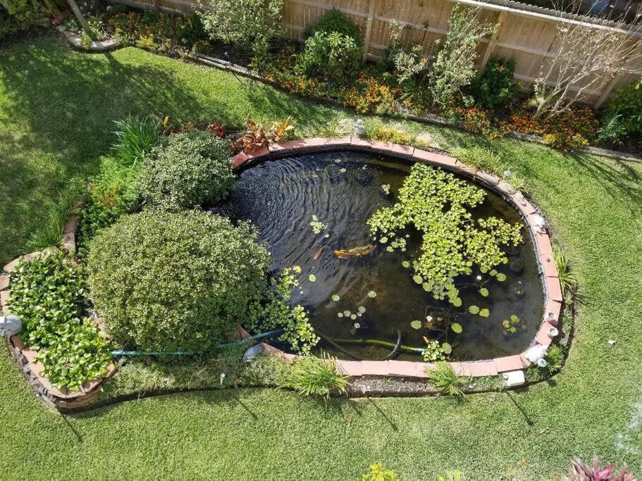The Seahorse Apt - Lakeside And Close To The Beach Appartement Galveston Buitenkant foto