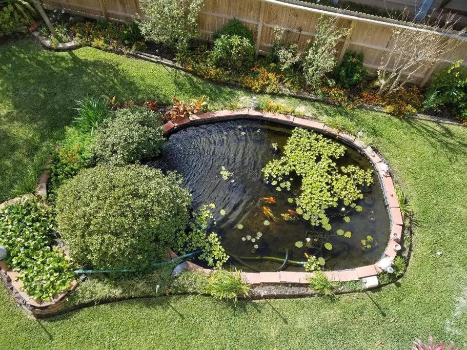 The Seahorse Apt - Lakeside And Close To The Beach Appartement Galveston Buitenkant foto
