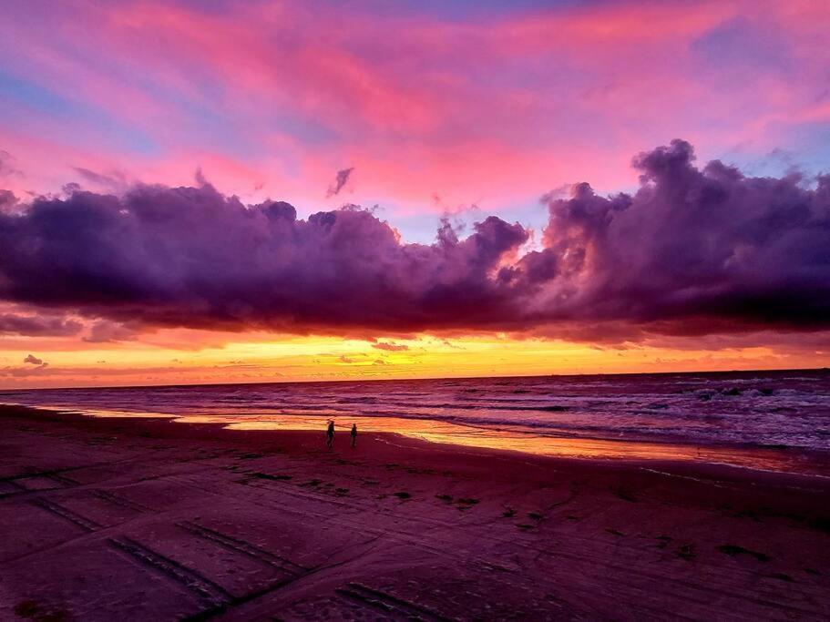 The Seahorse Apt - Lakeside And Close To The Beach Appartement Galveston Buitenkant foto